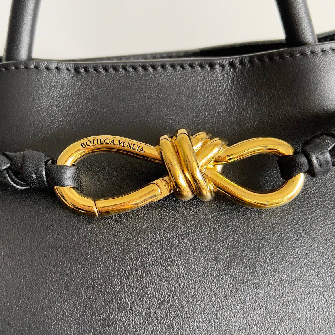Сумка Bottega Veneta 6