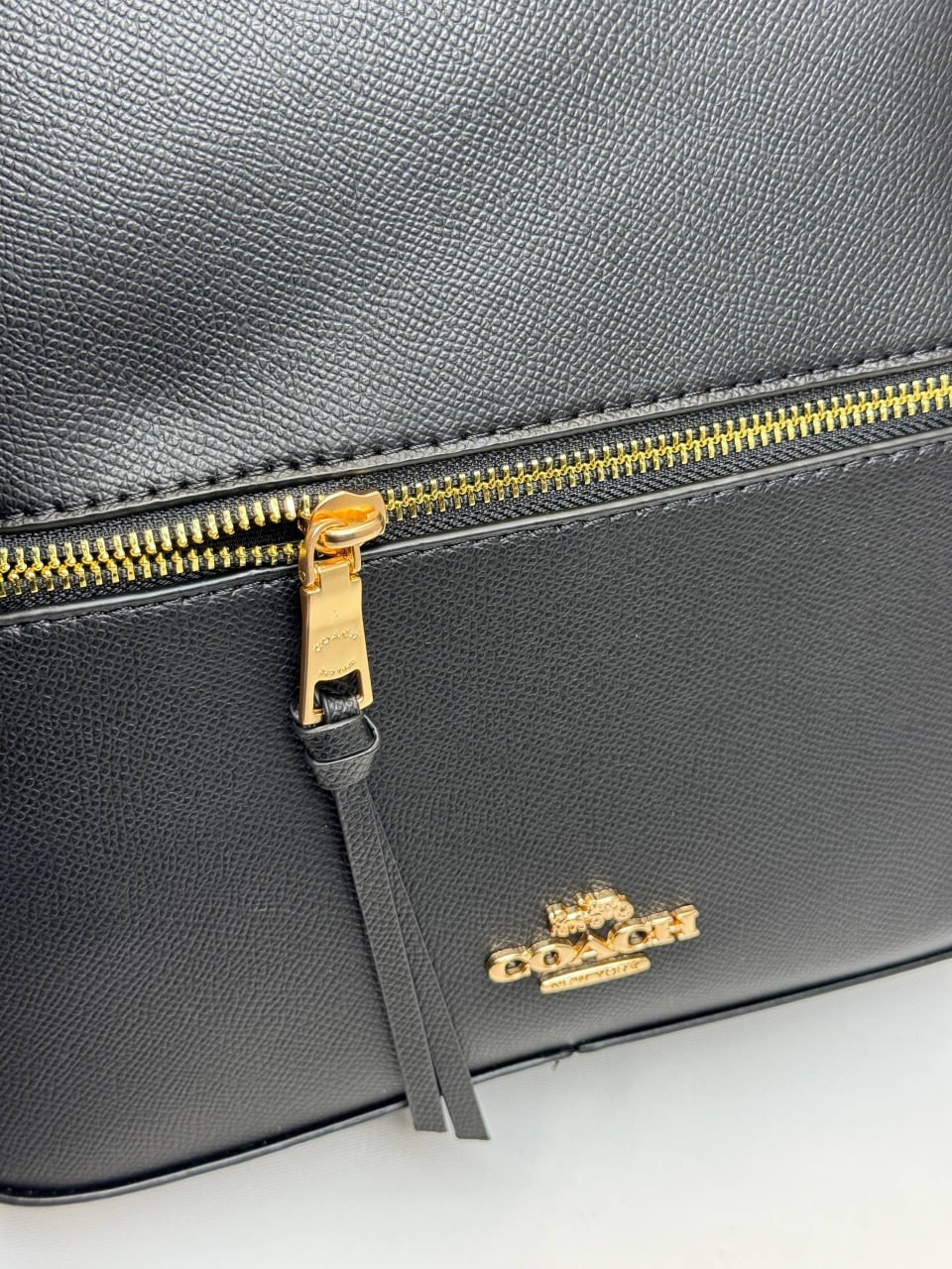 Рюкзак Coach 13
