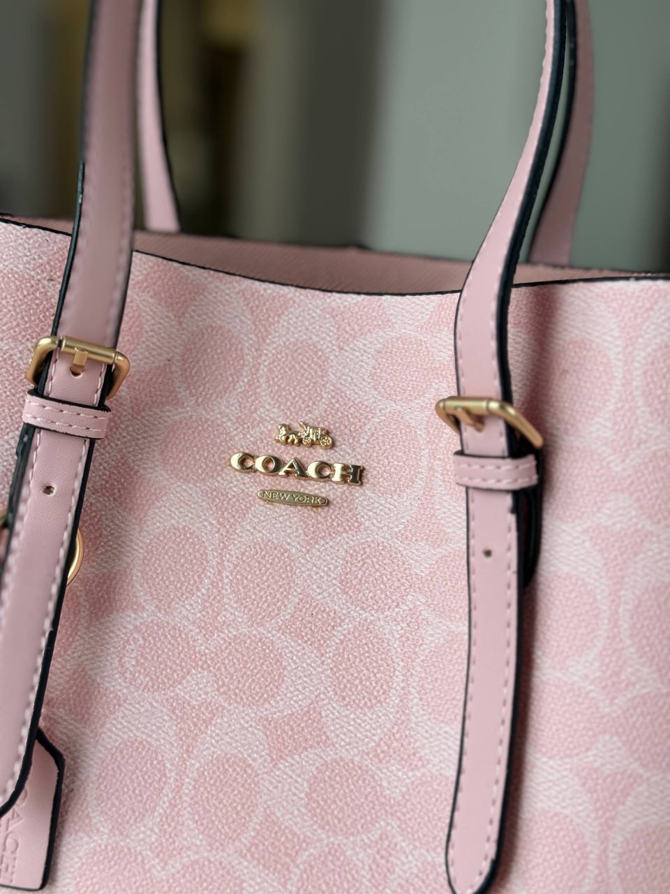 Сумка Coach 10