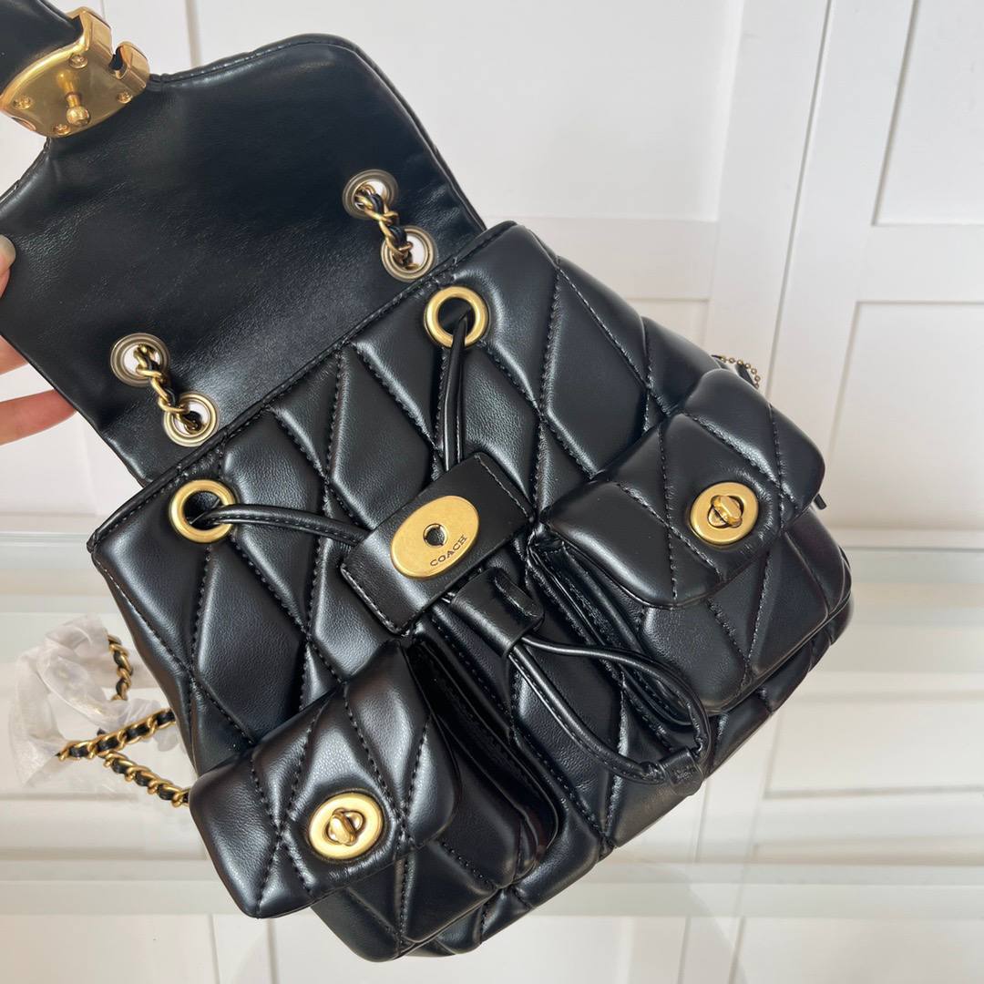 Рюкзак Coach 6