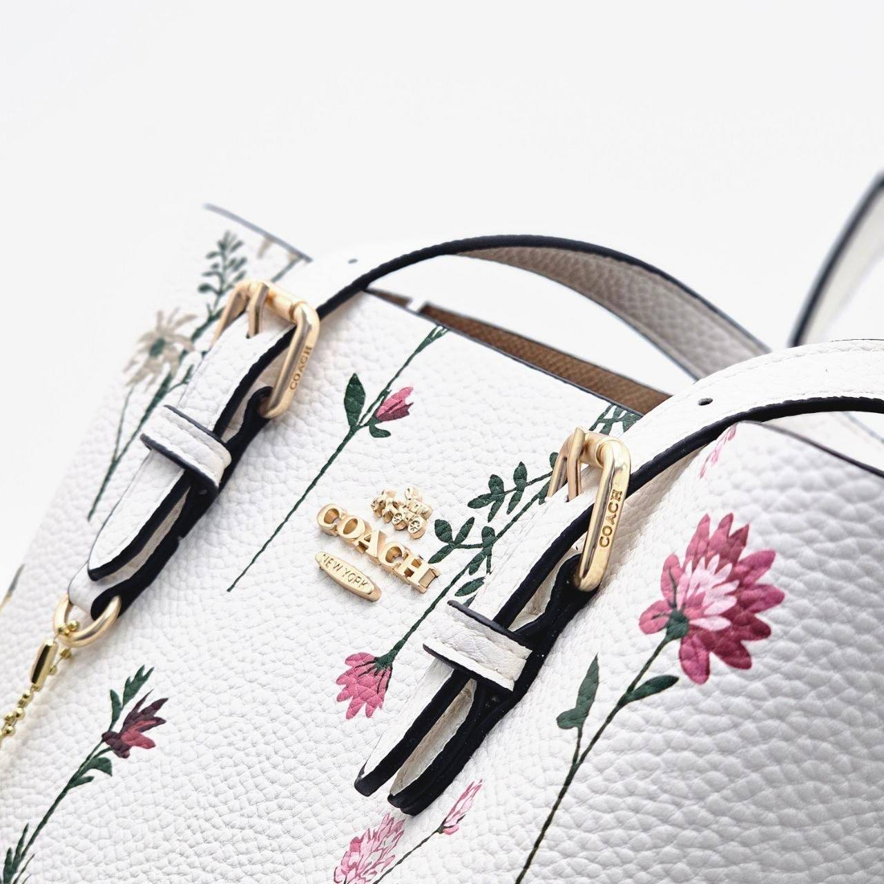 Сумка Coach 6
