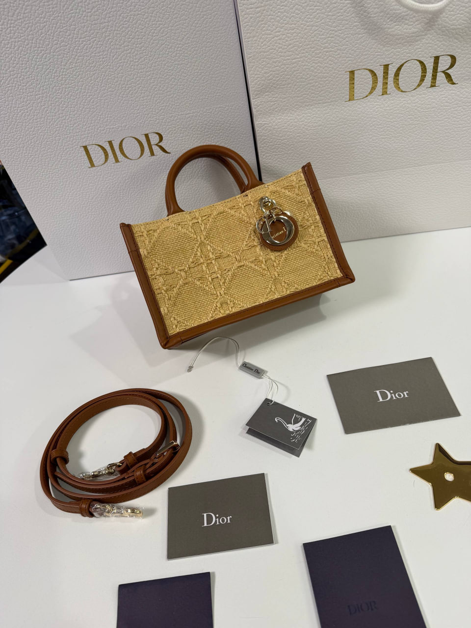 Сумка Dior Book mini 2