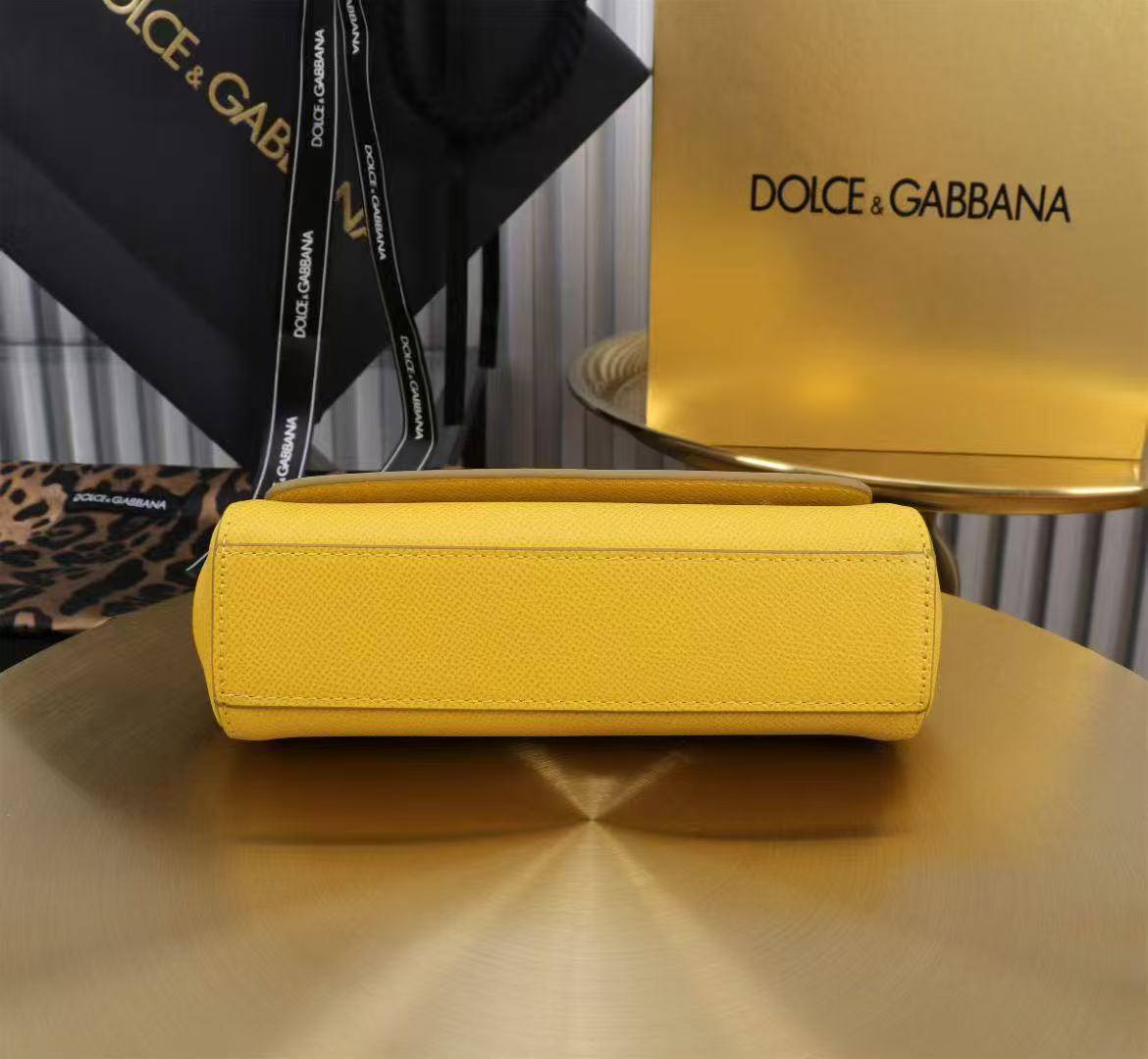 Сумка Dolce & Gabbana 6