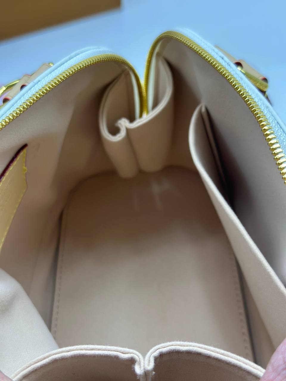 Сумка Louis Vuitton 5