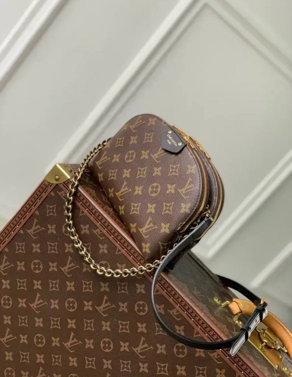Сумка Louis Vuitton 2