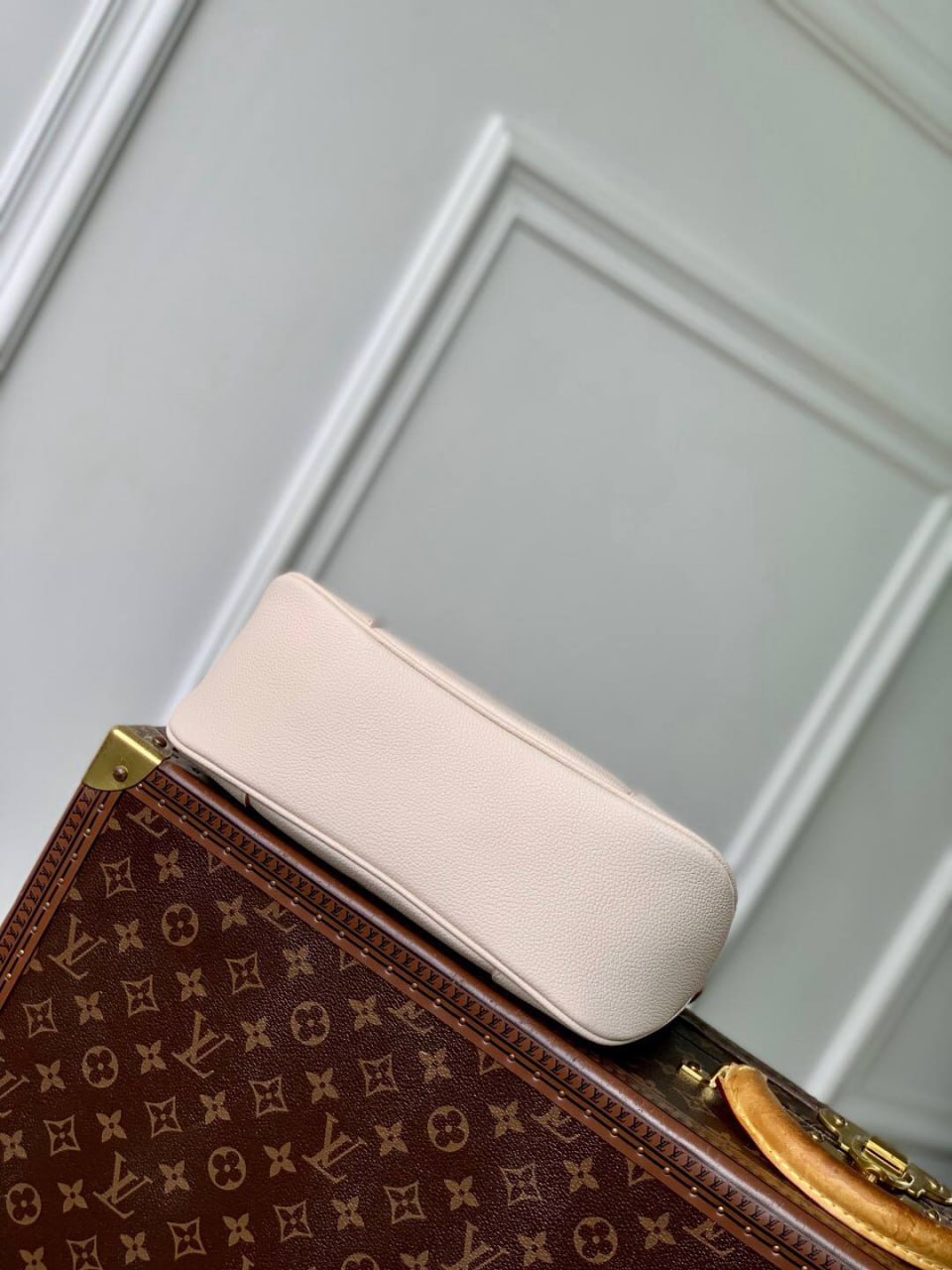 Сумка Louis Vuitton 6
