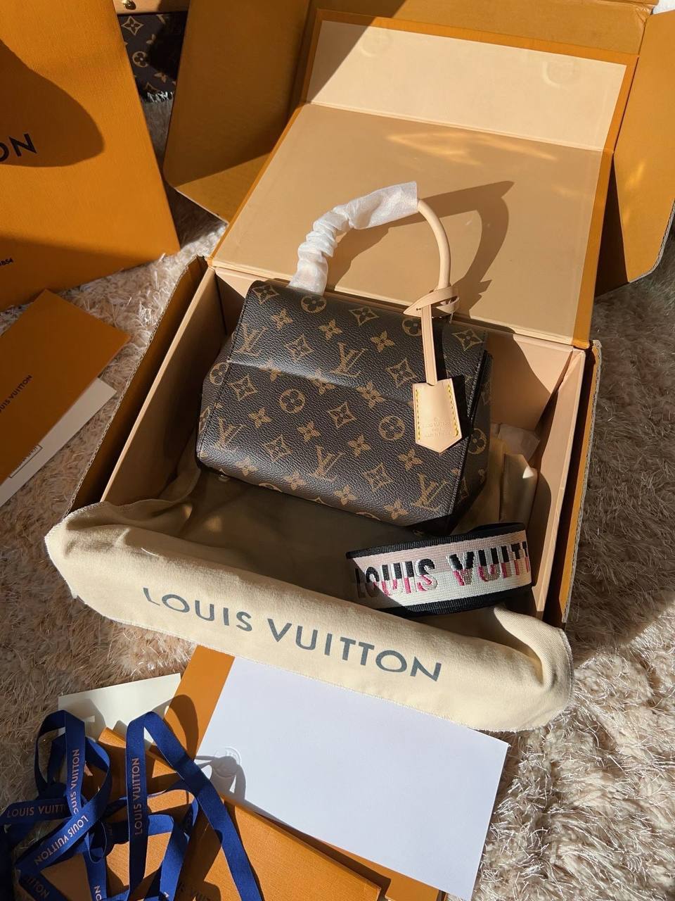 Сумка Louis Vuitton 5
