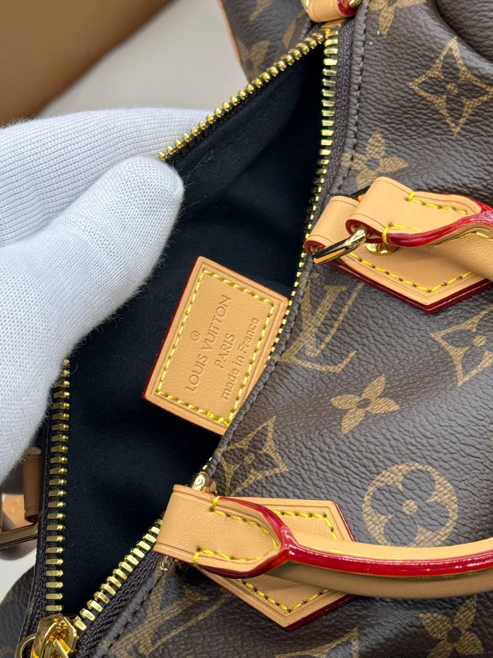 Сумка Louis Vuitton 10