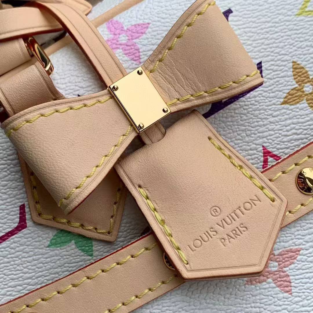 Сумка Louis Vuitton 5
