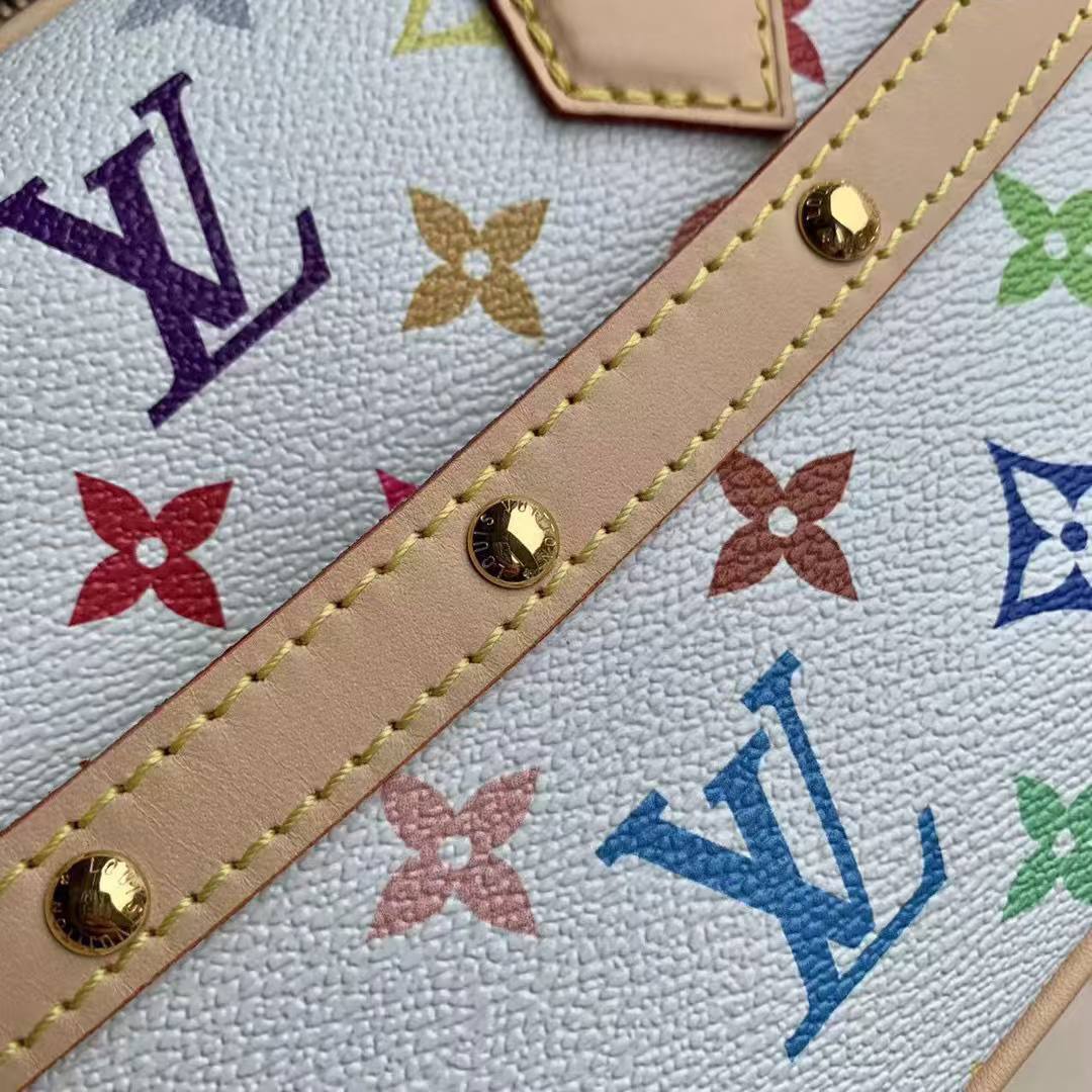 Сумка Louis Vuitton 6