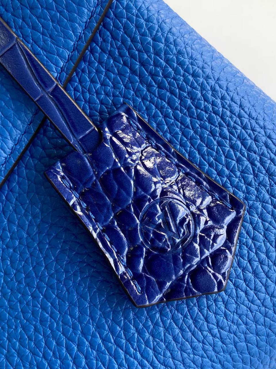 Сумка Louis Vuitton 6