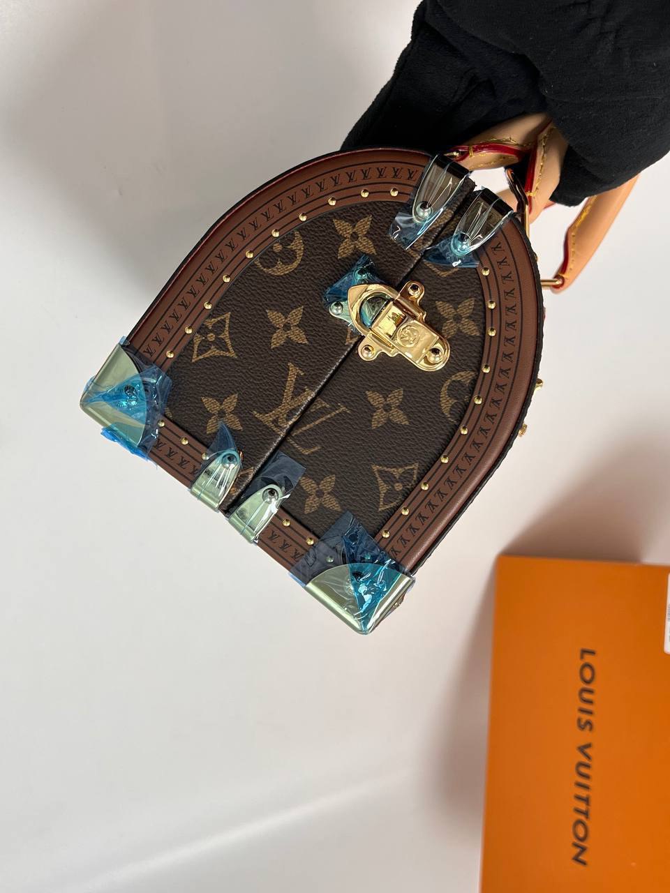 Сумка Louis Vuitton 5
