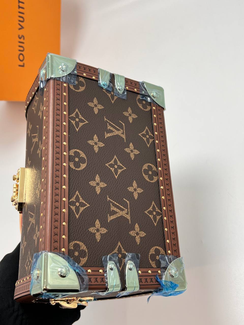 Сумка Louis Vuitton 6