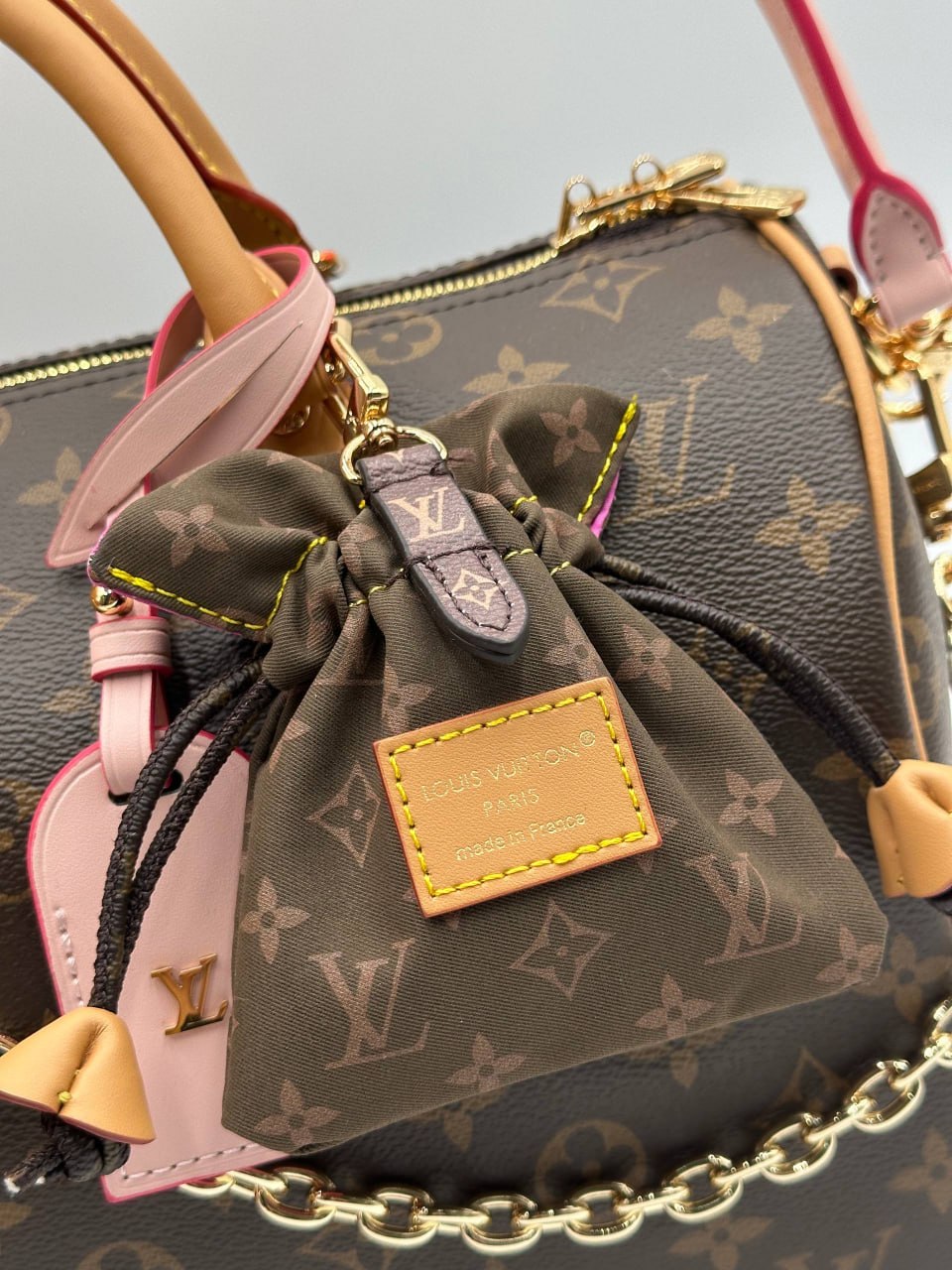 Сумка Louis Vuitton 6