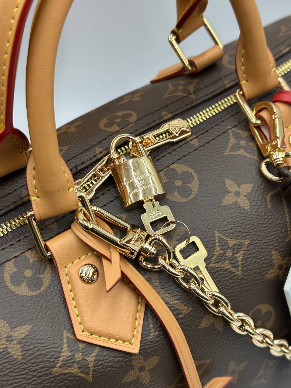 Сумка Louis Vuitton 5