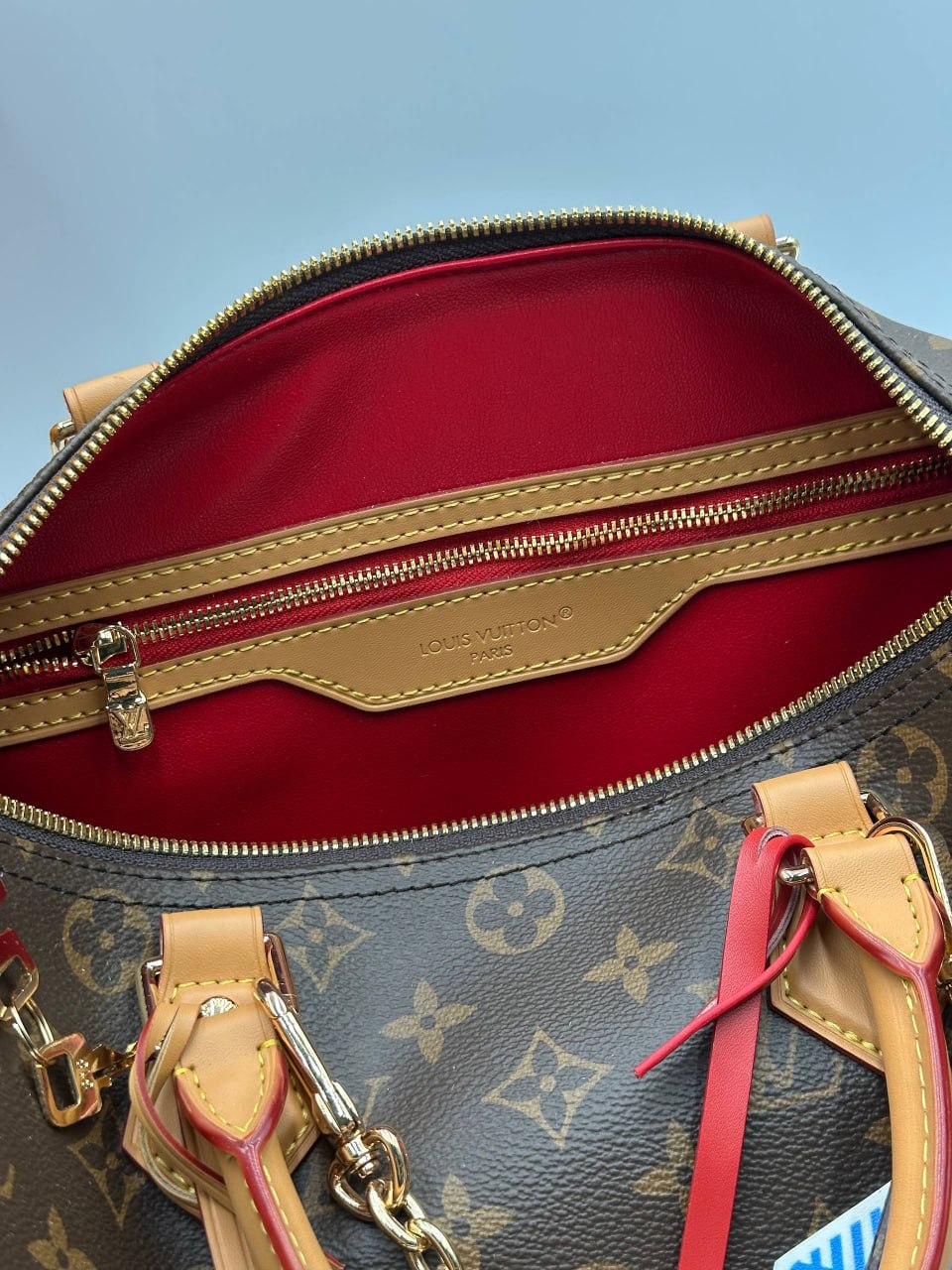 Сумка Louis Vuitton 9