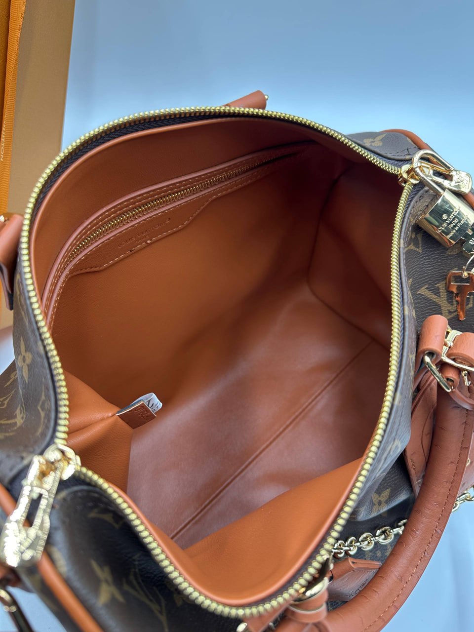 Сумка Louis Vuitton 10