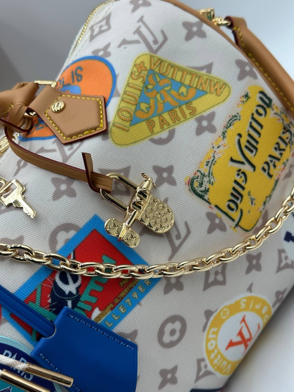 Сумка Louis Vuitton 6