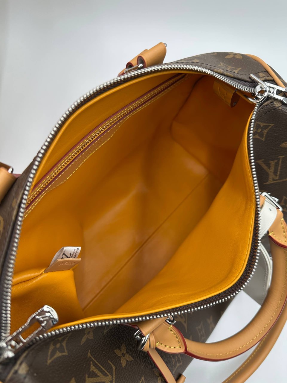 Сумка Louis Vuitton 10