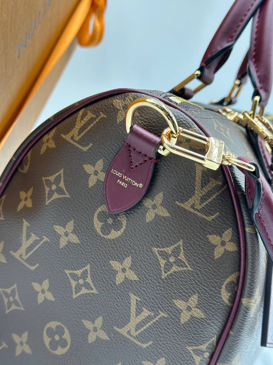 Сумка Louis Vuitton 5