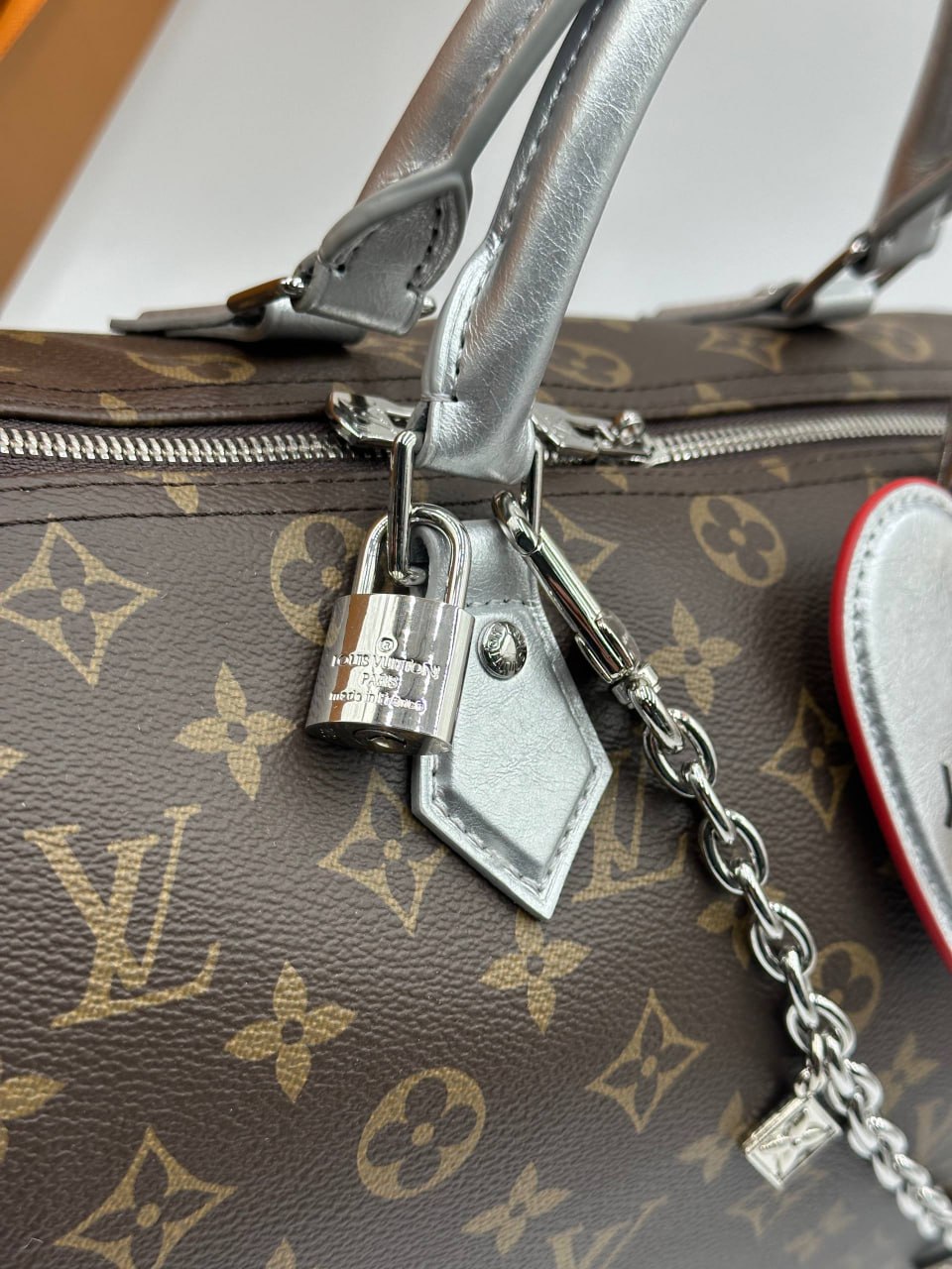 Сумка Louis Vuitton 6