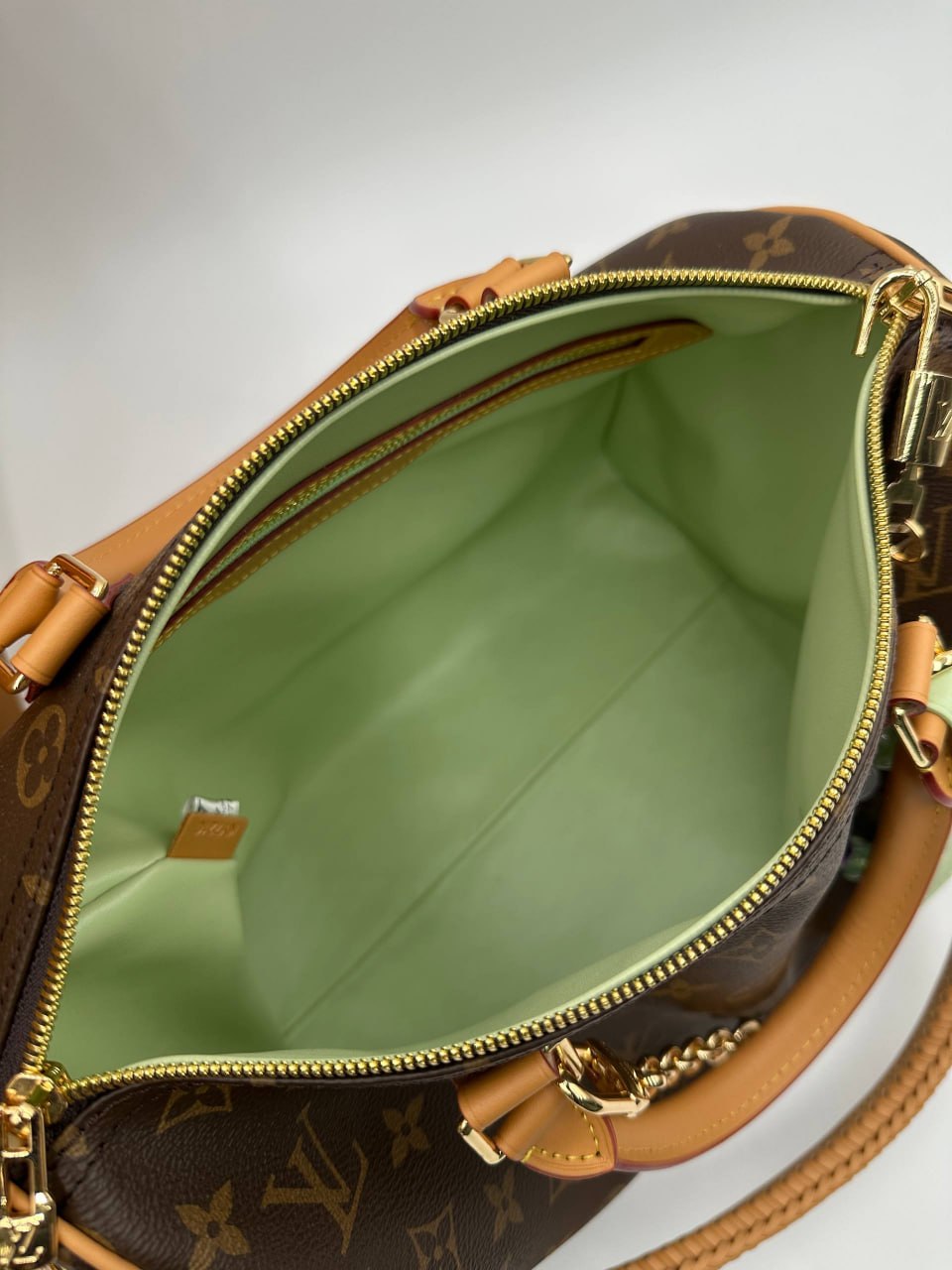 Сумка Louis Vuitton 10