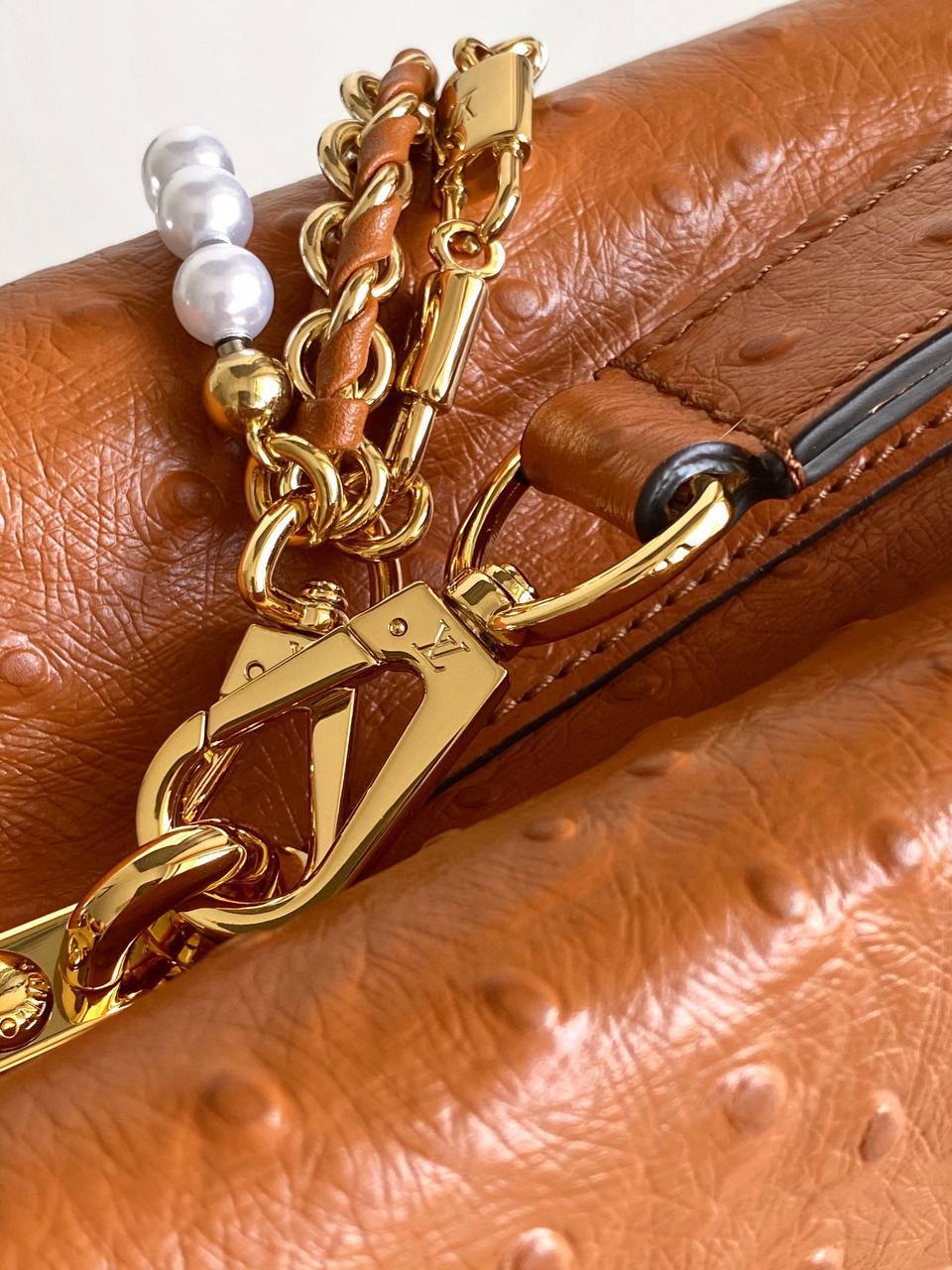 Сумка Louis Vuitton 5