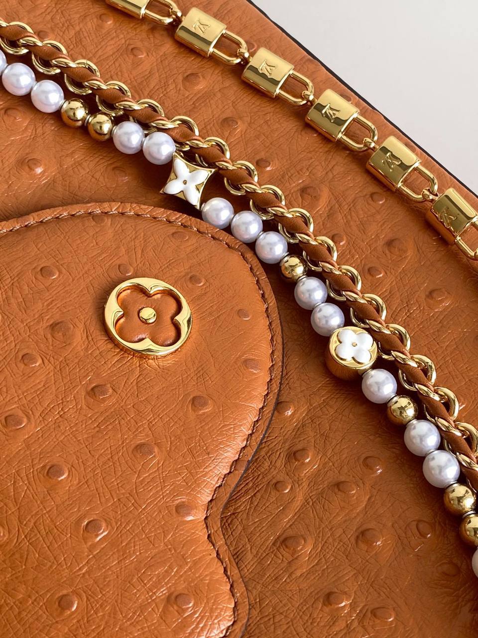 Сумка Louis Vuitton 6