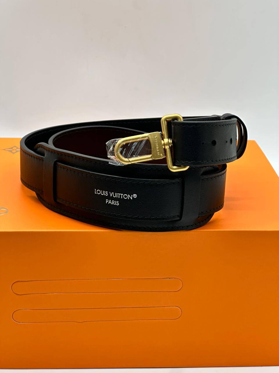 Сумка Louis Vuitton 10