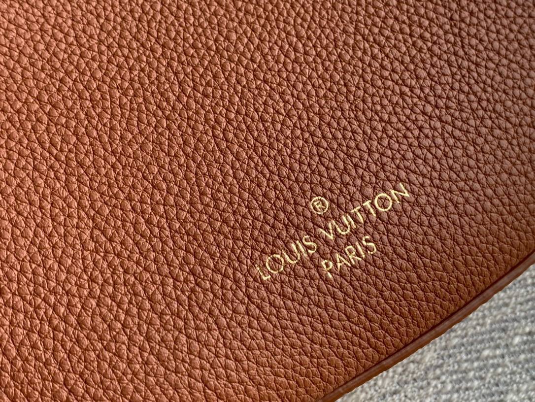 Сумка Louis Vuitton 4