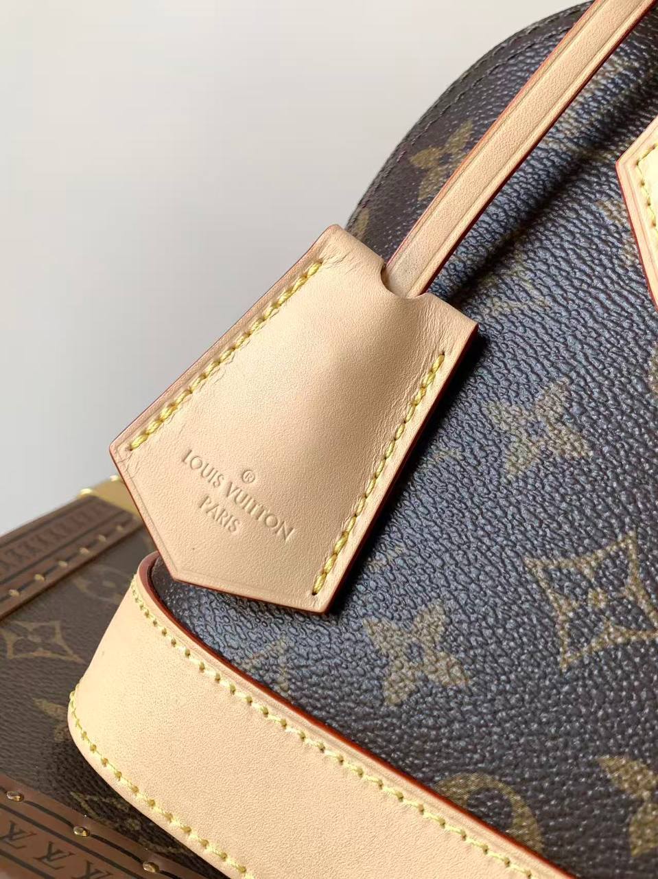 Сумка Louis Vuitton 3