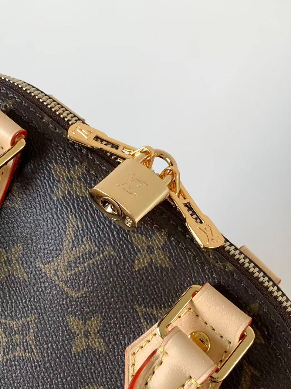 Сумка Louis Vuitton 5