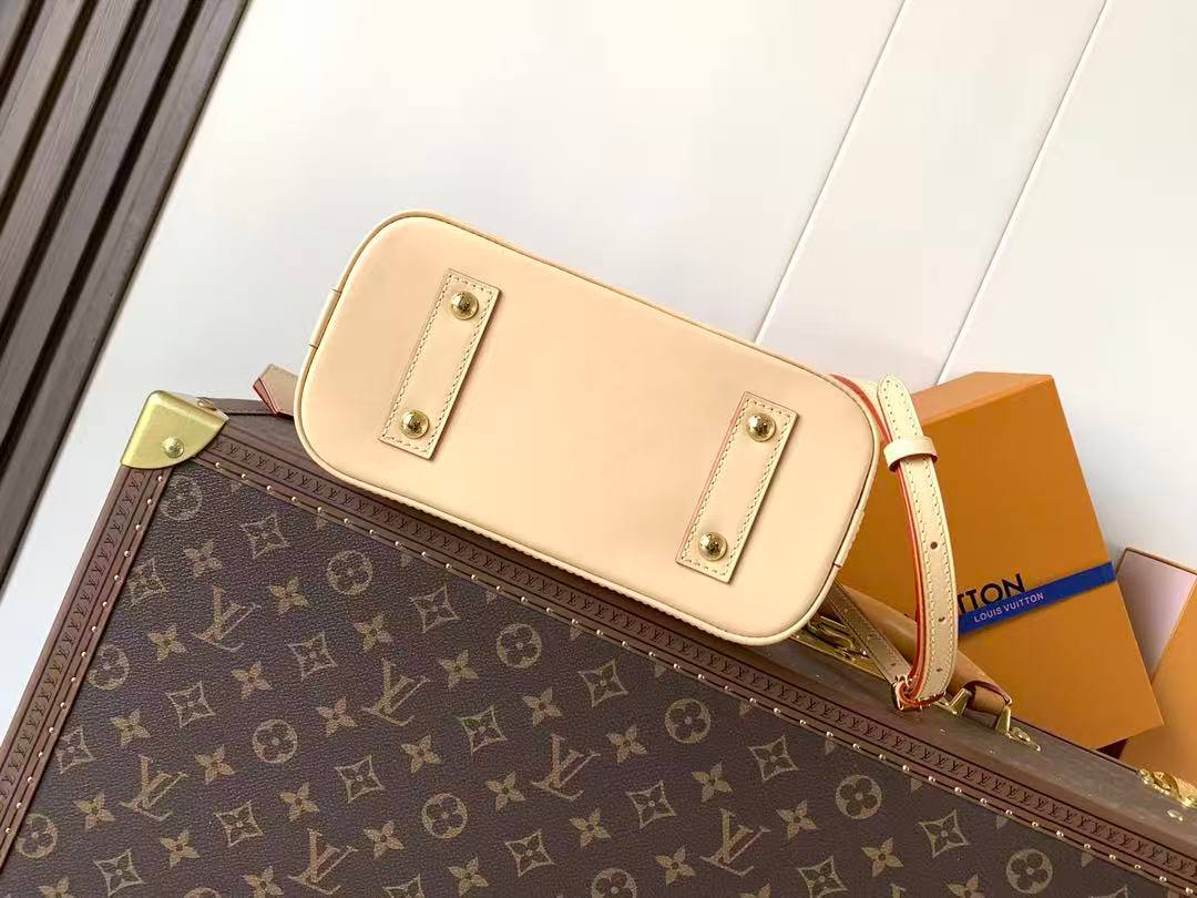 Сумка Louis Vuitton 6
