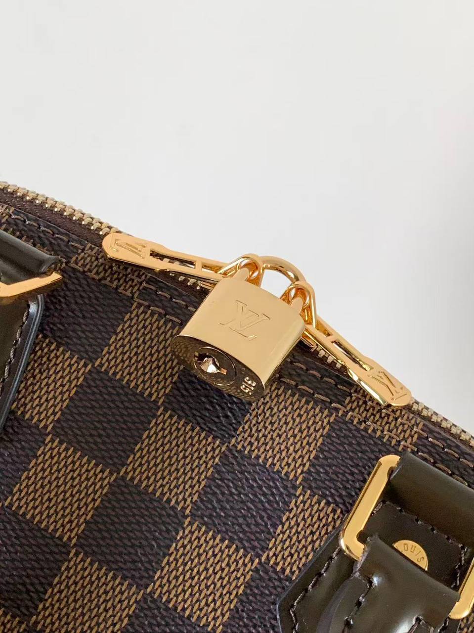 Сумка Louis Vuitton 6