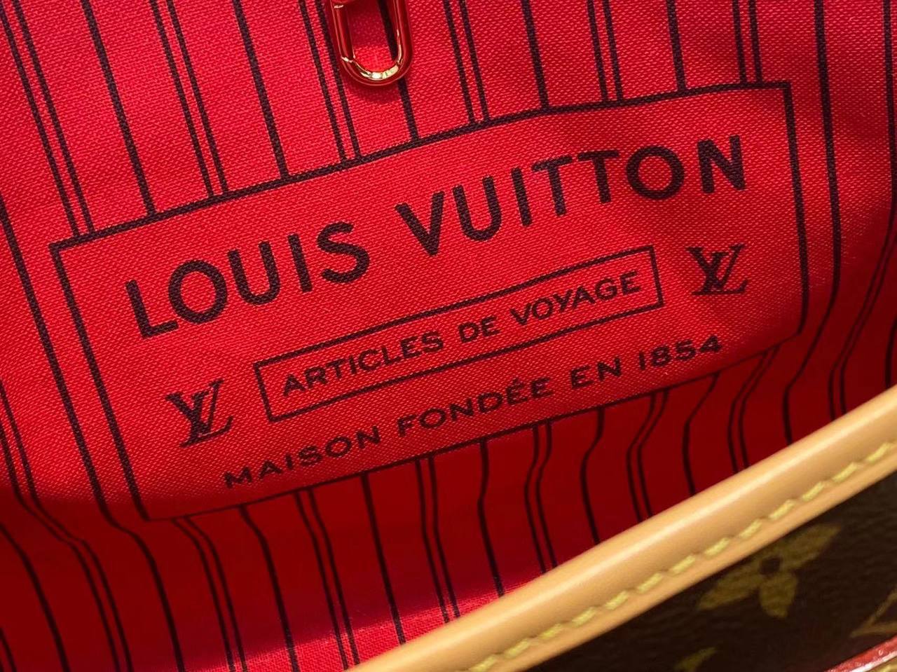 Сумка Louis Vuitton 6