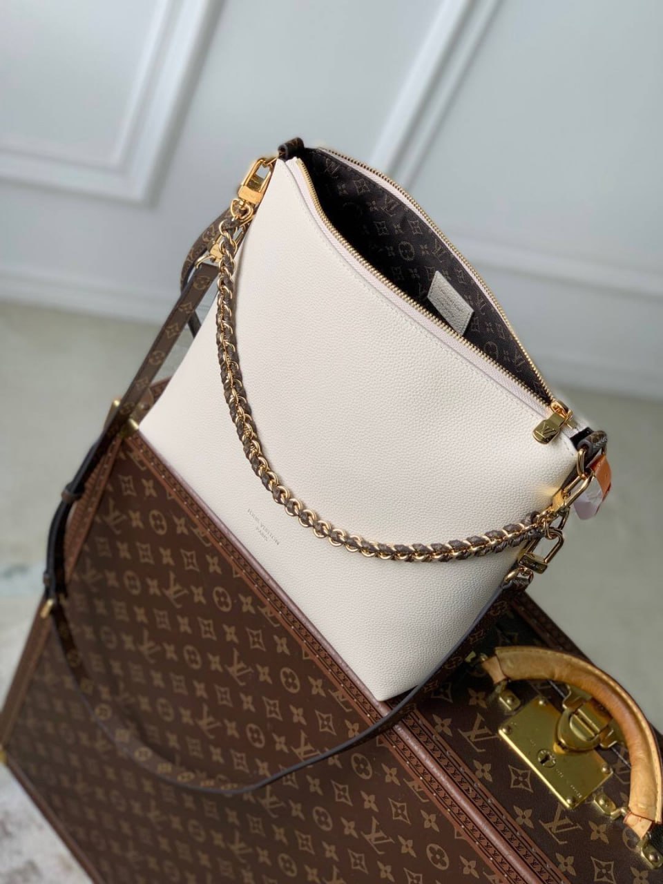 Сумка Louis Vuitton Multipass 8