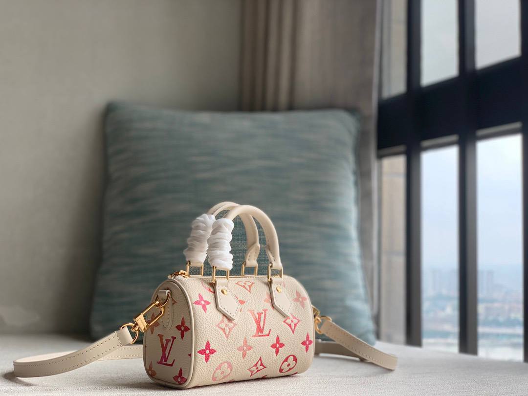 Сумка Louis Vuitton Multipass 2