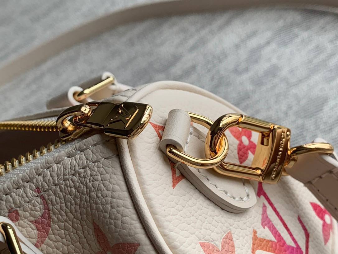 Сумка Louis Vuitton Multipass 5