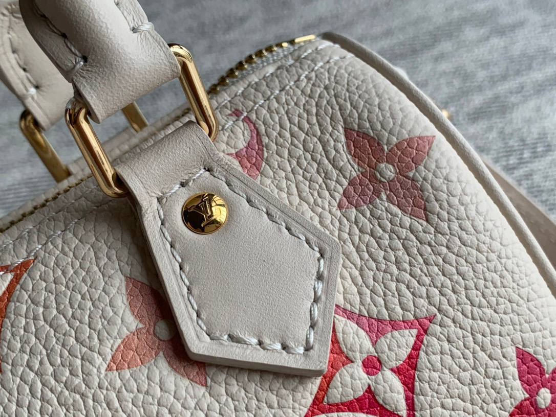 Сумка Louis Vuitton Multipass 6