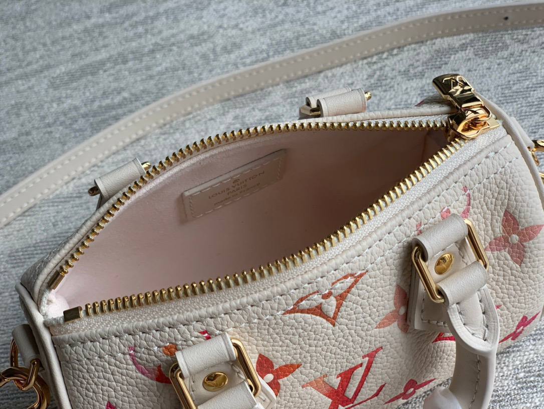 Сумка Louis Vuitton Multipass 8