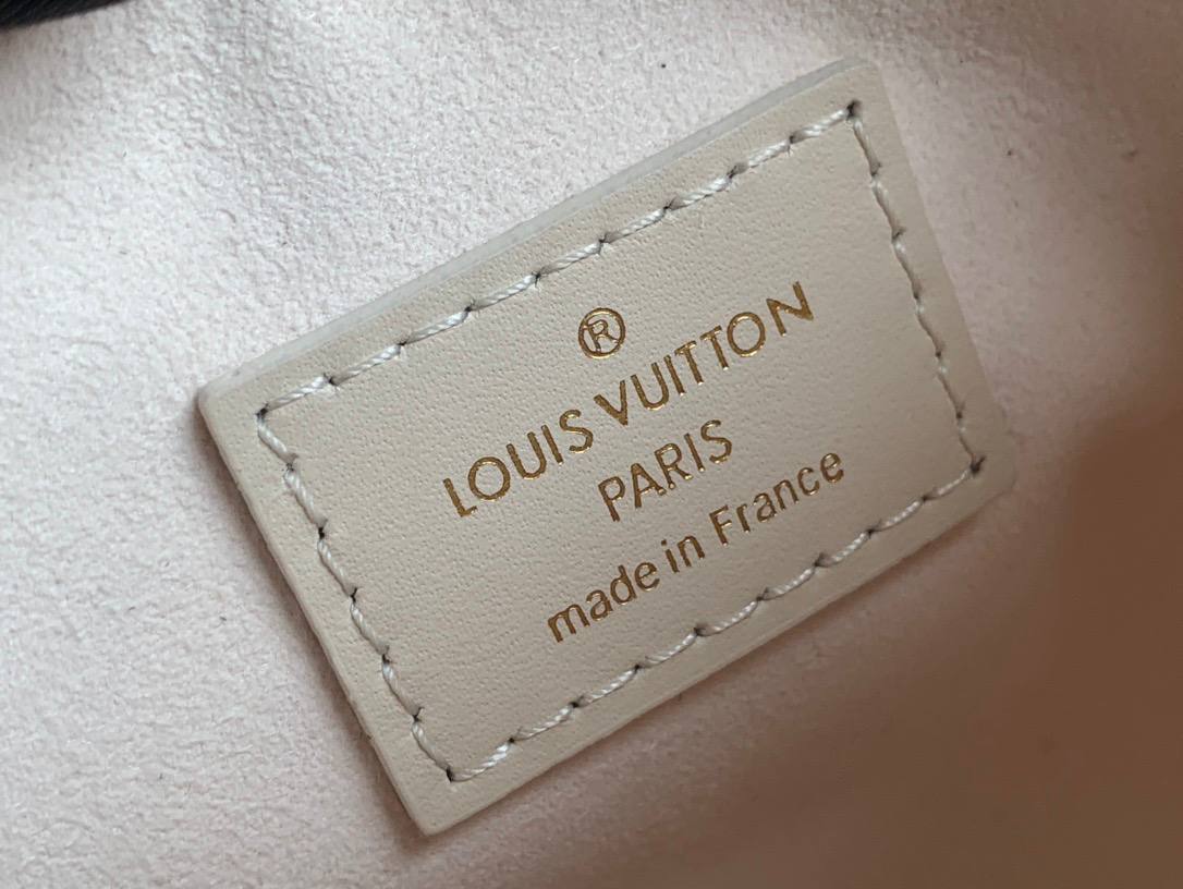 Сумка Louis Vuitton Multipass 9