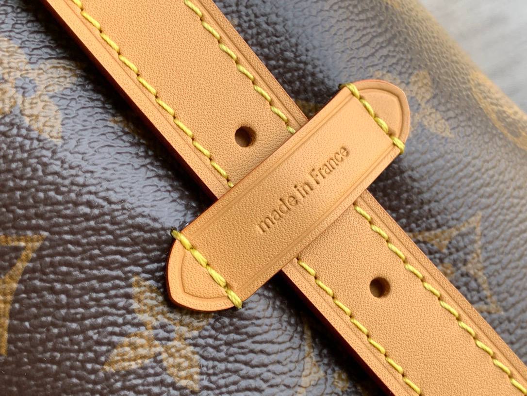 Сумка Louis Vuitton 5