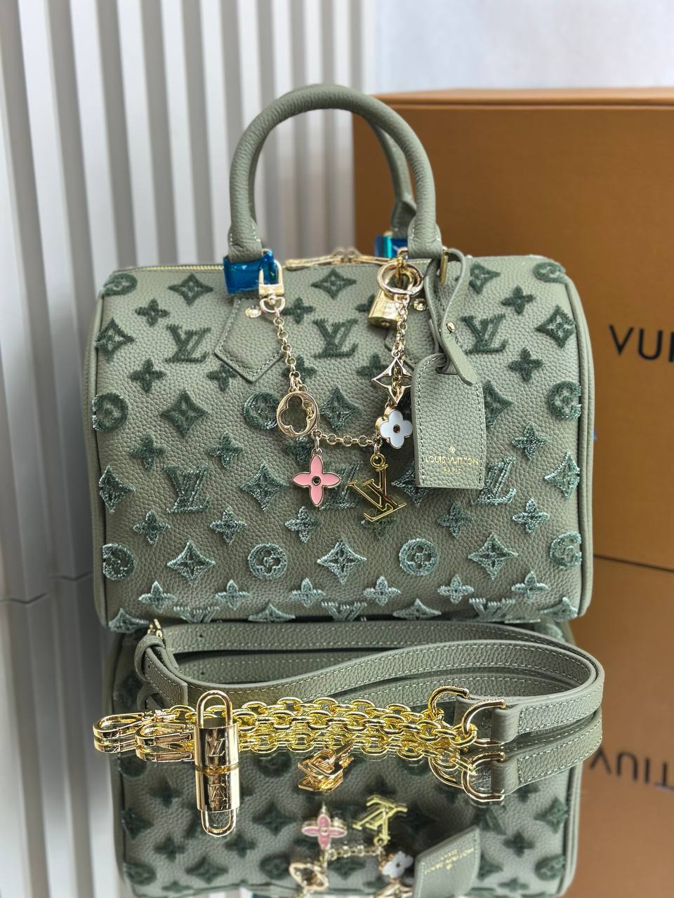 Сумка Louis Vuitton 5