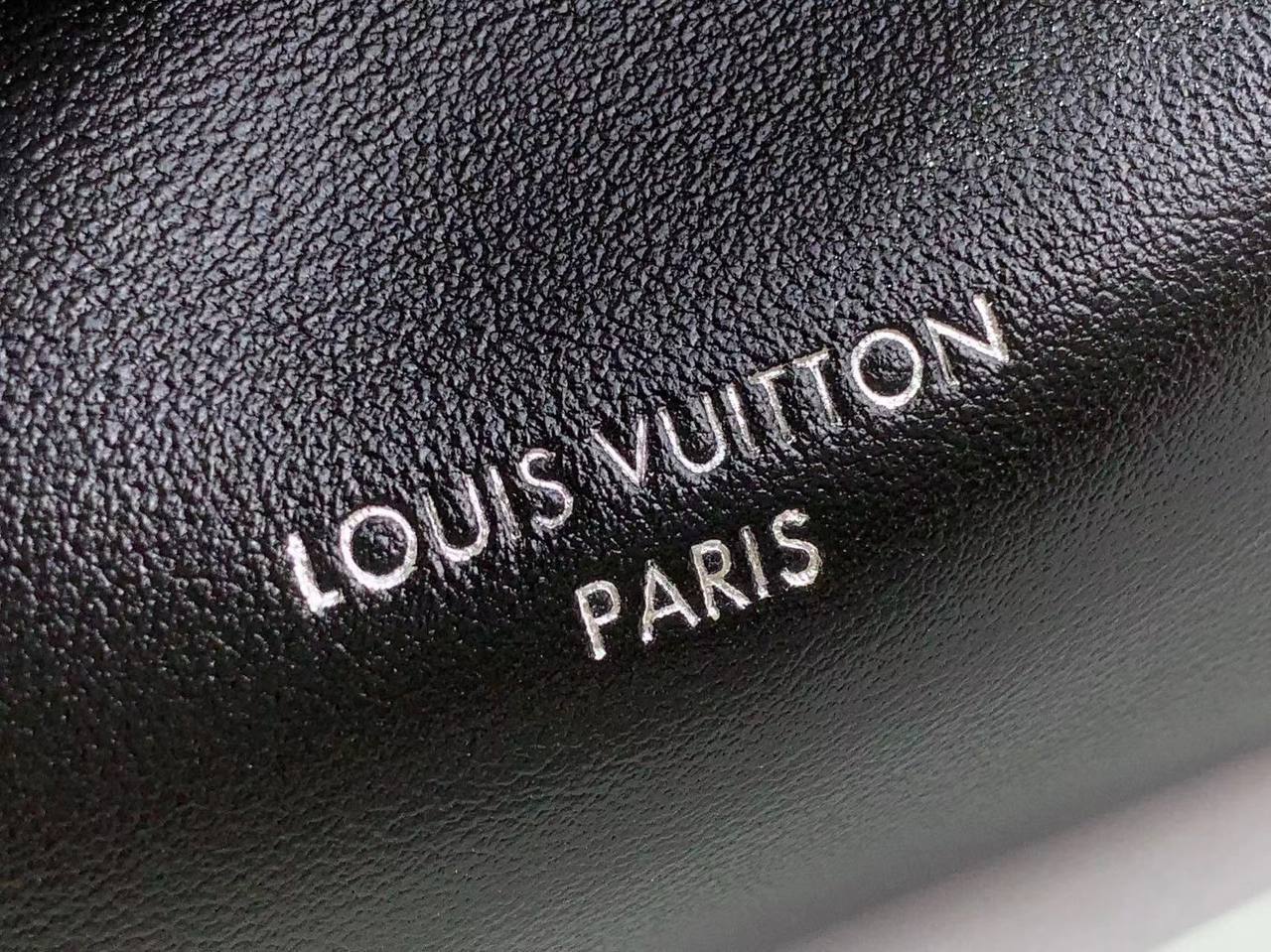 Сумка Louis Vuitton 5