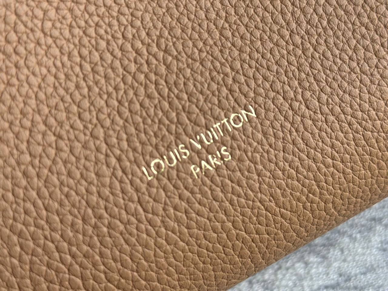 Сумка Louis Vuitton Multipass 5