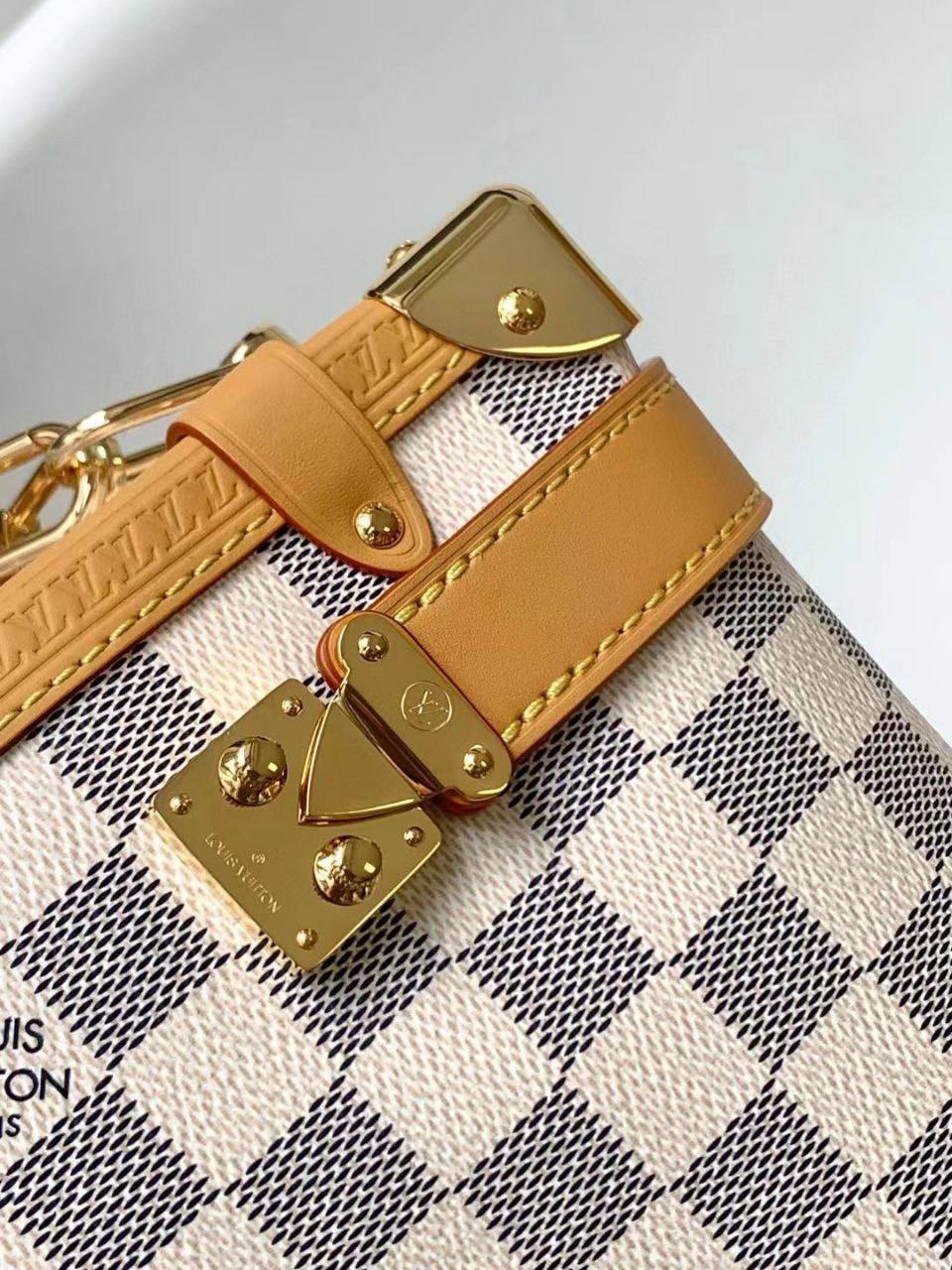 Сумка Louis Vuitton 5
