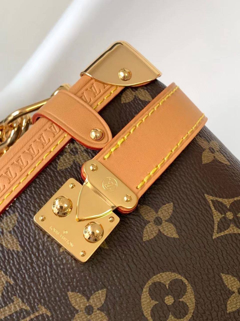 Сумка Louis Vuitton 5