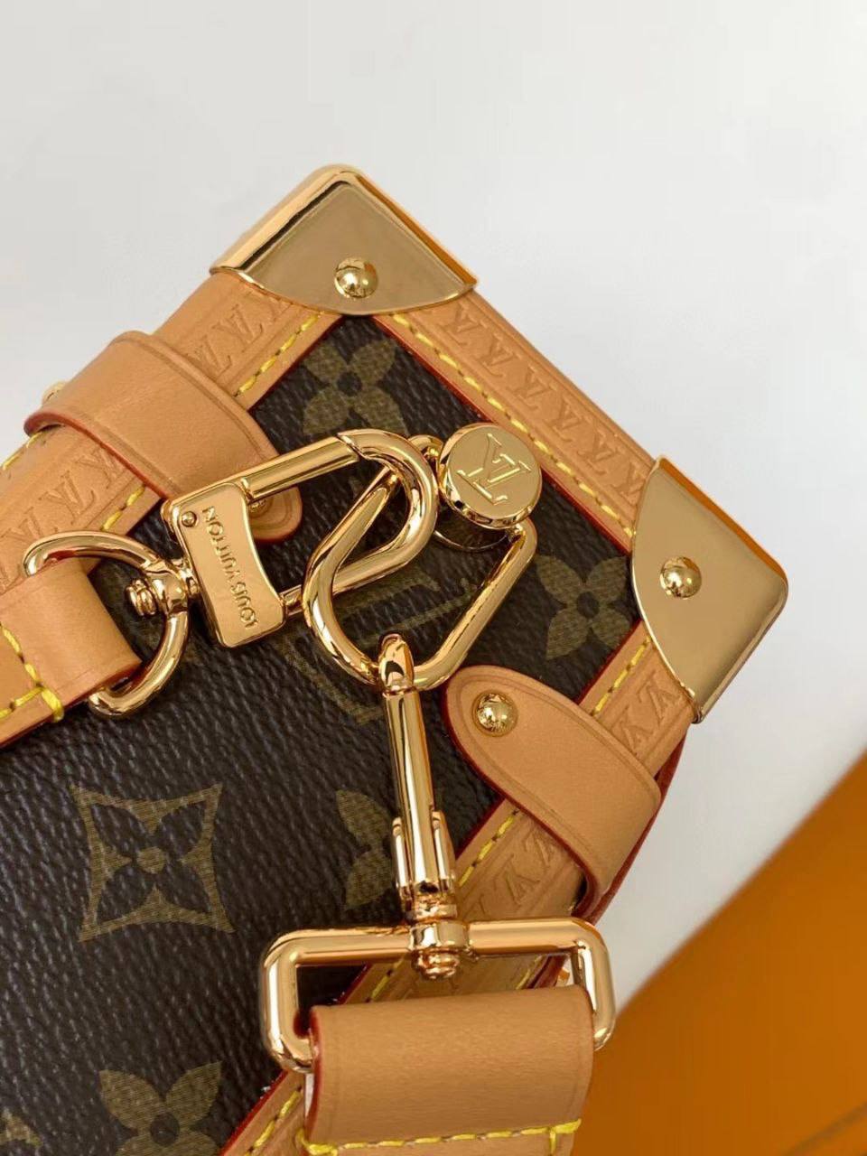 Сумка Louis Vuitton 6