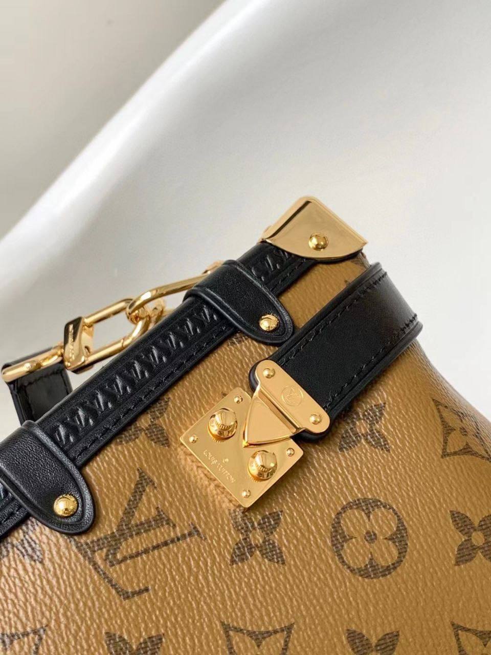 Сумка Louis Vuitton 5