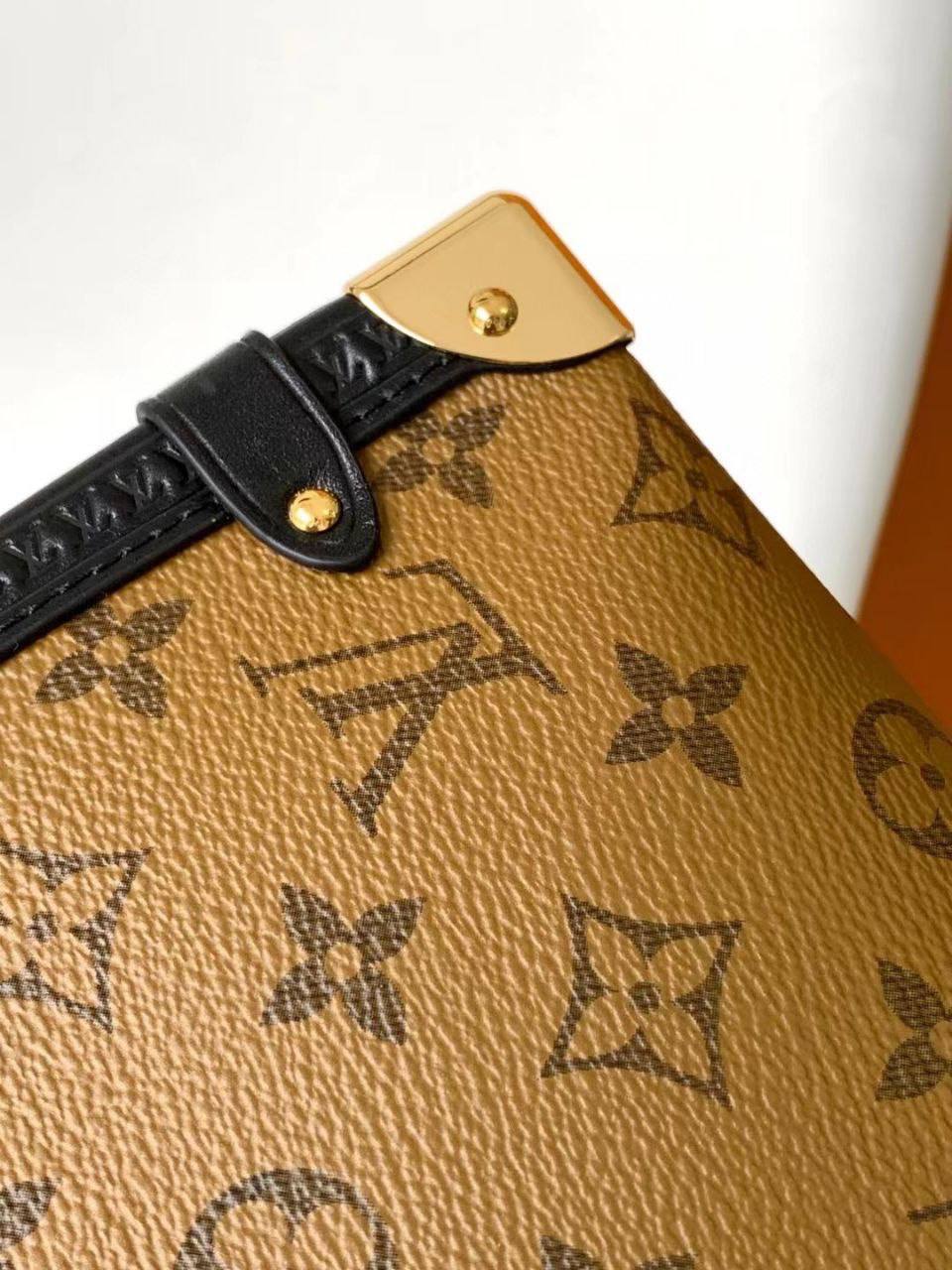 Сумка Louis Vuitton 6